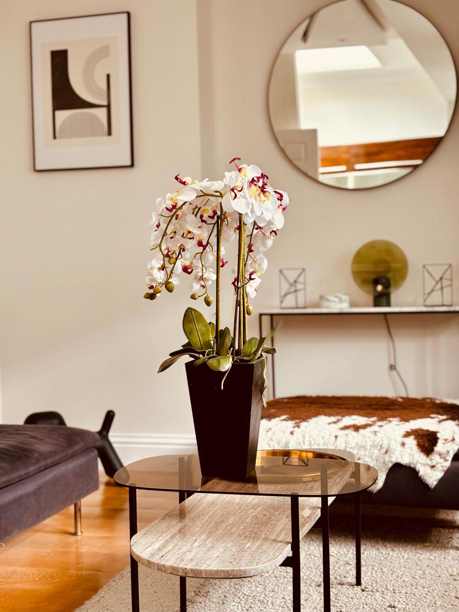 Robert House Guest house *